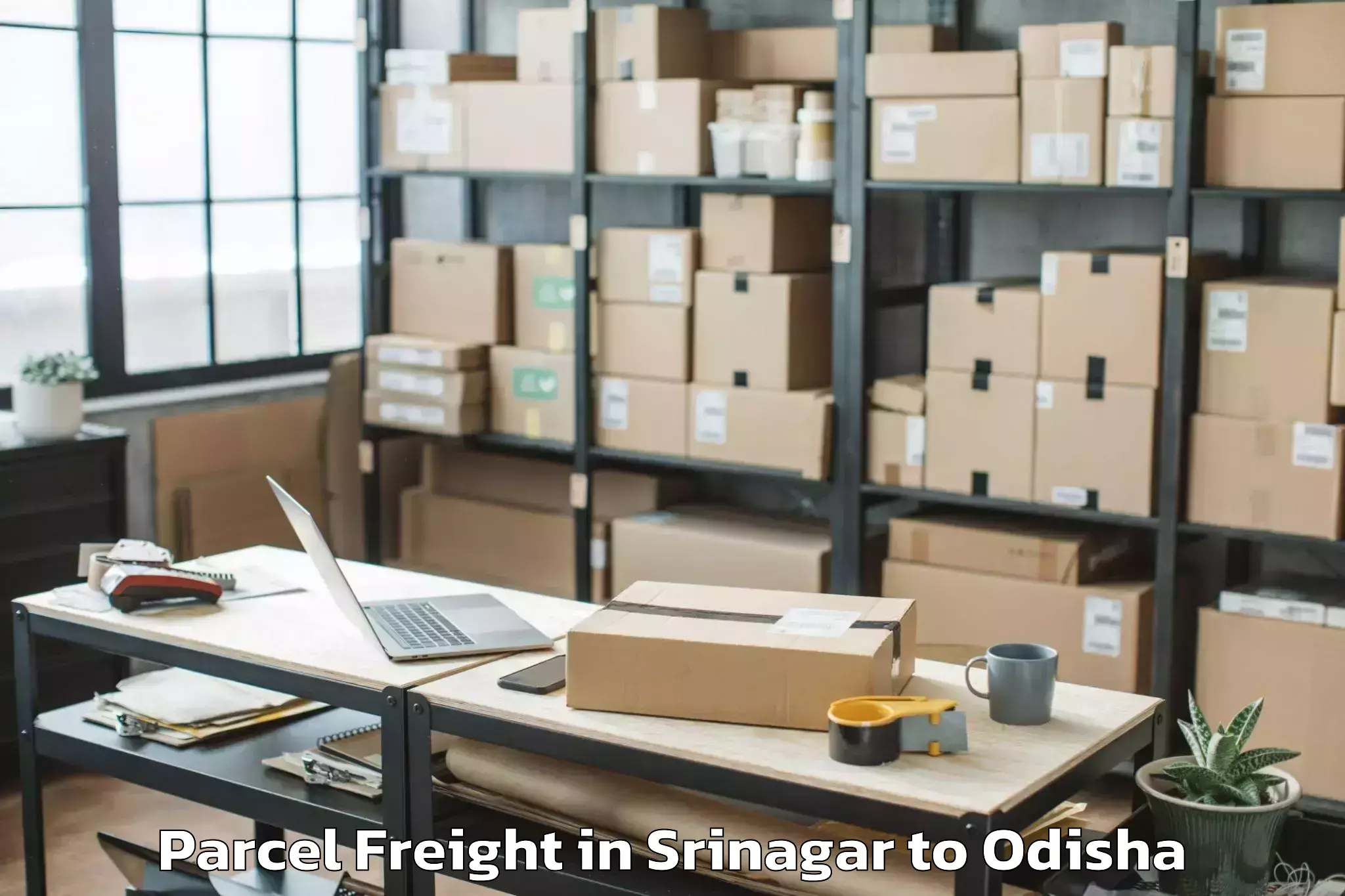 Book Your Srinagar to Sambalpur University Burla Parcel Freight Today